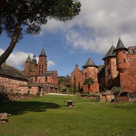 Chateau De Vassinhac Chambres D'Hotes Collonges La Rouge Екстериор снимка