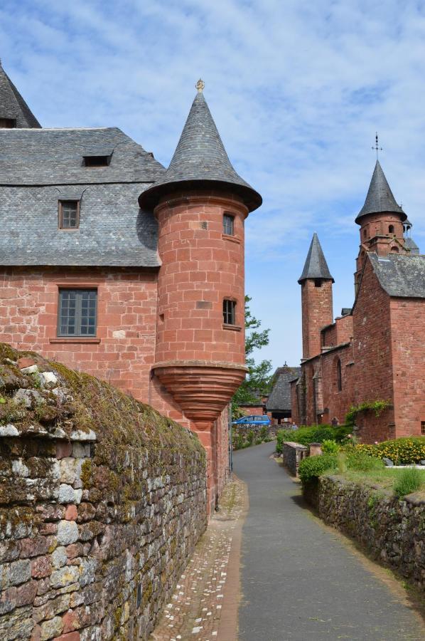 Chateau De Vassinhac Chambres D'Hotes Collonges La Rouge Екстериор снимка