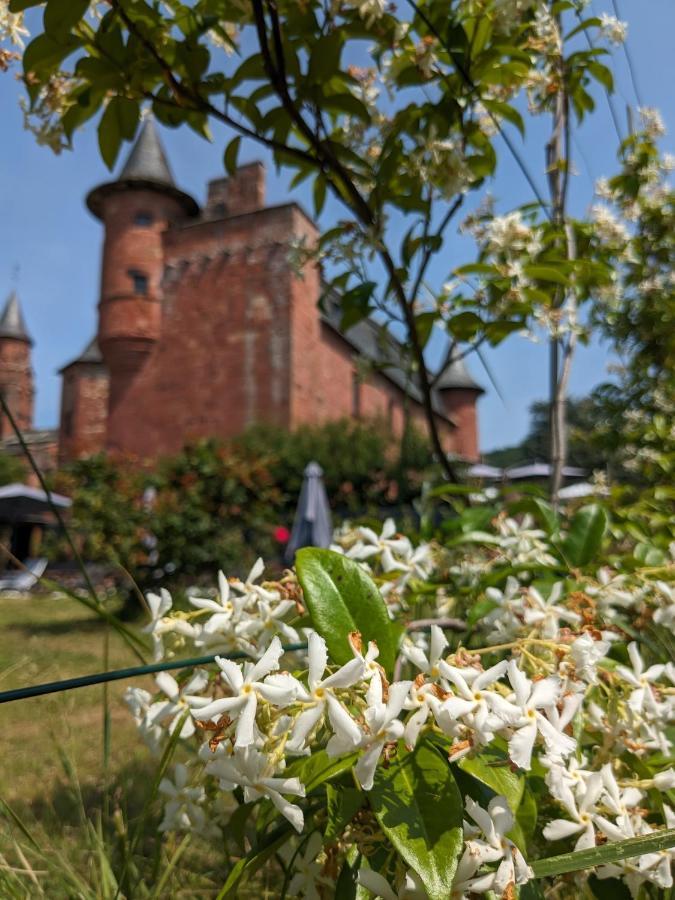 Chateau De Vassinhac Chambres D'Hotes Collonges La Rouge Екстериор снимка